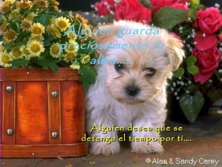 Alguien guarda
preciosamente tu
alma……
Alguien desea que seAlguien desea que se
detenga el tiempo por tí….detenga el tiempo por tí….
 