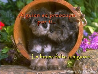 Alguien se preocupaAlguien se preocupa
por tí…por tí…
Le haces falta a alguien.Le haces falta a alguien.
 