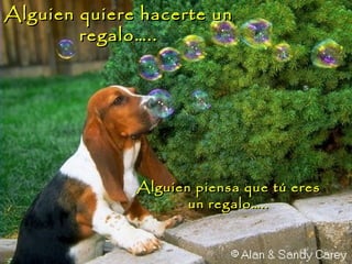 Alguien quiere hacerte unAlguien quiere hacerte un
regalo…..regalo…..
Alguien piensa que tú eresAlguien piensa que tú eres
un regalo…..un regalo…..
 