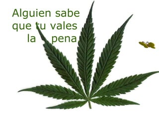 Alguien sabe que tu vales la  pena. 