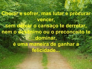 Chorar e sofrer, mas lutar e procurar vencer, sem deixar o cansaço te derrotar, nem o desânimo ou o preconceito te dominar, é uma maneira de ganhar a felicidade... 