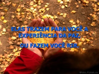ELAS TRAZEM PARA VOCÊ A EXPERIÊNCIA DA PAZ, OU FAZEM VOCÊ RIR. 