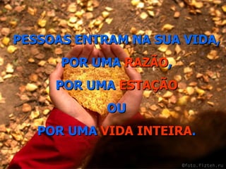 PESSOAS ENTRAM NA SUA VIDA, POR UMA  RAZÃO , POR UMA  ESTAÇÃO OU POR UMA  VIDA INTEIRA . 