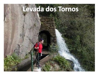 Levada dos Tornos