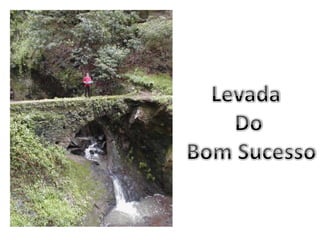 Levada Do Bom Sucesso