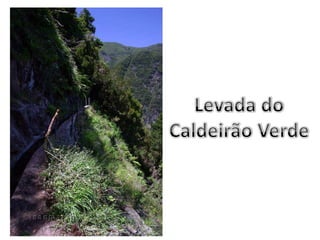 Levada doCaldeirão Verde