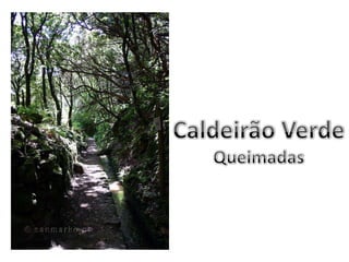 Caldeirão VerdeQueimadas