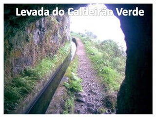 Levada do Caldeirão Verde