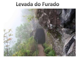 Levada do Furado