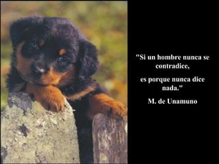 "Si un hombre nunca se contradice, es porque nunca dice nada." M. de Unamuno 