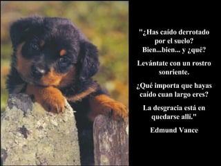 "¿Has caído derrotado por el suelo? Bien...bien... y ¿qué? Levántate con un rostro sonriente. ¿Qué importa que hayas caído cuan largo eres? La desgracia está en quedarse allí." Edmund Vance 