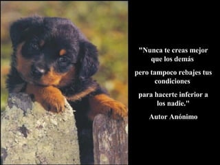 "Nunca te creas mejor que los demás  pero tampoco rebajes tus condiciones  para hacerte inferior a los nadie." Autor Anónimo 