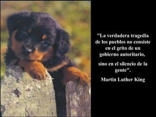"La verdadera tragedia de los pueblos no consiste en el grito de un gobierno autoritario,  sino en el silencio de la gente". Martin Luther King 