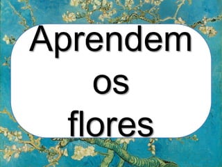Aprendem
os
flores
 