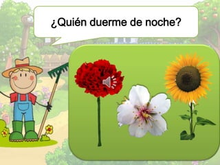 ¿Quién duerme de noche?
 