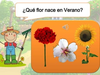 ¿Qué flor nace en Verano?
 