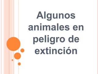 Algunos
animales en
peligro de
extinción
 