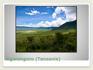 Ngorongoro (Tanzania)