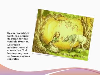 Su cuerno mágico
también es capaz
de curar heridas
con solo rozarlas.
Los recién
nacidos tienen el
cuerno liso. Y al
hacerse mayores
se forman rugosas
espirales.
 