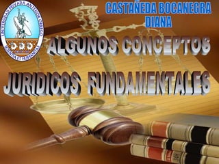 ALGUNOS CONCEPTOS
JURIDICOS FUNDAMENTALES
sección I - EL SUJETO
DE DERECHO

 