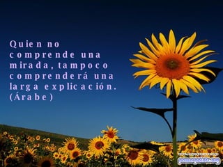 Quien no comprende una mirada, tampoco comprenderá una larga explicación. (Árabe) 