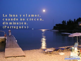 La luna y el amor, cuando no crecen, disminuyen. (Portugués) 
