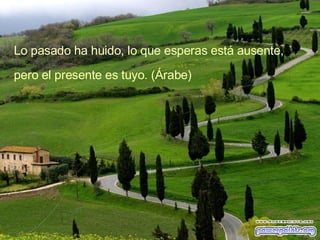 Lo pasado ha huido, lo que esperas está ausente, pero el presente es tuyo. (Árabe) 