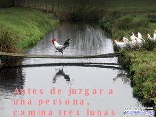Antes de juzgar a una persona, camina tres lunas con sus mocasines. (Indio) 
