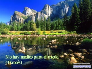 No hay médico para el miedo. (Escocés) 