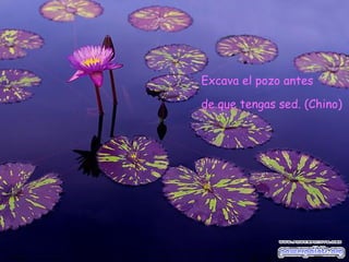 Excava el pozo antes  de que tengas sed. (Chino) 