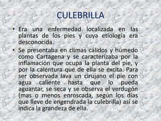 CULEBRILLAEra una enfermedad localizada en las plantas de los pies y cuya etiología era desconocida.Se presentaba en climas cálidos y húmedo como Cartagena y se caracterizaba por la inflamación que ocupa la planta del pie, y por la calentura que de ella se excita. Para ser observada lava un cirujano el pie con agua caliente hasta que lo pueda aguantar, se seca y se observa el verdugón (mas o menos enroscada, según los días que lleve de engendrada la culebrilla) así se indica la grandeza de ella. 