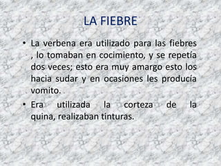 LA FIEBRELa verbena era utilizado para lasfiebres , lo tomaban en cocimiento, y se repetía dos veces; esto era muy amargo esto los haciasudar y en ocasiones les producíavomito.Era utilizada la corteza de la quina, realizabantinturas.