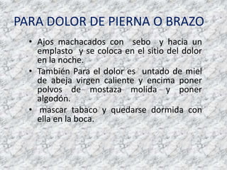 PARA DOLOR DE PIERNA O BRAZO Ajos machacados con  seboy hacia un emplasto  y se coloca en el sitio del dolor en la noche.También Para el dolor es  untado de miel  de abejavirgencaliente y encimaponerpolvos de mostazamolida y poneralgodón.mascar tabaco y quedarsedormida con ella en la boca.