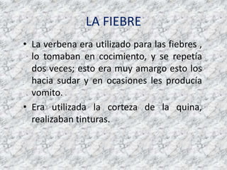 LA FIEBRELa verbena era utilizado para lasfiebres , lo tomaban en cocimiento, y se repetía dos veces; esto era muy amargo esto los haciasudar y en ocasiones les producíavomito.Era utilizada la corteza de la quina, realizabantinturas.