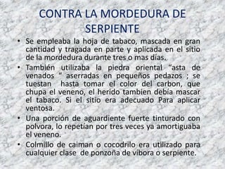 CONTRA LA MORDEDURA DE SERPIENTESe empleaba la hoja de tabaco, mascada en grancantidad y tragada en parte y aplicada en el sitio de la mordeduradurantetres o masdías.Tambiénutilizaba la piedra oriental “asta de venados “ aserradas en pequeñospedazos ; se tuestan  hasta tomar el color del carbon, que chupa el veneno, el heridotambiendebía mascar el tabaco. Si el sitio era adecuado Para aplicar ventosa. Una porción de aguardientefuertetinturado con polvora, lo repetíanportresvecesyaamortiguaba el veneno.Colmillo de caiman o cocodrilo era utilizado para cualquierclase  de ponzoña de víbora o serpiente.