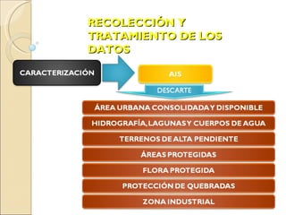 RECOLECCIÓN Y TRATAMIENTO DE LOS DATOS 