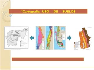 “ Cartografía:  USO  DE  SUELOS 