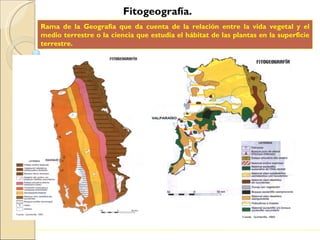 Fitogeografía. Rama de la Geografía que da cuenta de la relación entre la vida vegetal y el medio terrestre o la ciencia que estudia el hábitat de las plantas en la superficie terrestre. 