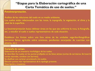 “ Etapas para la Elaboración cartográfica de una Carta Temática de uso de suelos.” . Fotointerpretación.   Análisis de las relaciones del suelo en su medio ambiente.  Los suelos están relacionados con las rocas, la topografía, la vegetación, el clima y la edad de la superficie.  La fotointerpretación busca delinear áreas en las que sea uniforme la roca, la fisiografía, etc. y estudiar el suelo o suelos representativos de cada situación.    Establecer los límites sobre una foto aérea de las unidades vege-lito-fisiográficas (terrenos llanos agrícolas sobre areniscas, pendientes escarpadas de cuarcitas con pinares, etc.) Campaña de campo. Elaboración de un inventario morfológico de los suelos.  Se describen los suelos en los puntos prefijados en las fotos aéreas (cortes de carreteras, ferrocarril, cortes naturales, sondeos con barrena). Se clasifican con carácter provisional a los suelos. Elección puntos más representativos de la tipología presente. Descripción y muestreo.  