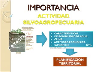 IMPORTANCIA CATASTRO 