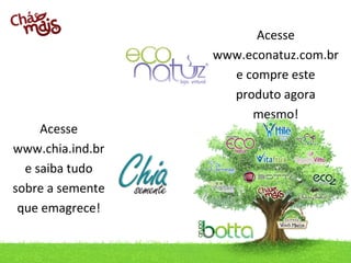 Acesse
www.chia.ind.br
e saiba tudo
sobre a semente
que emagrece!
contato@chia.ind.br / Telefone: (49) 3433.0100

Acesse
www.econatuz.com.br
e compre este
produto agora
mesmo!

 