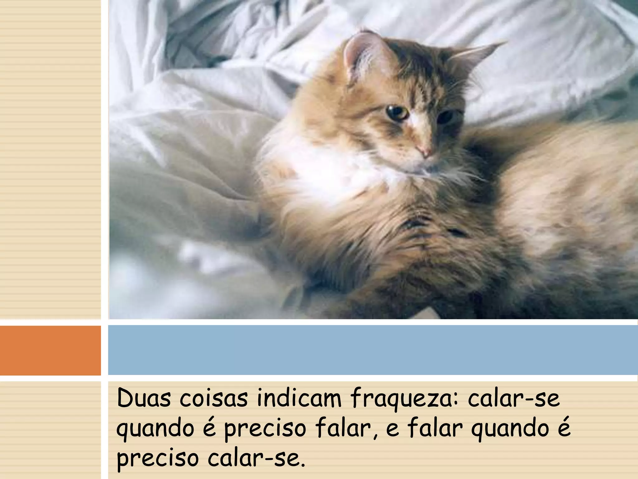 Duas coisas indicam fraqueza: calar-se quando é preciso falar, e falar quando é preciso calar-se. (Provérbio Persa)