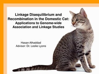 Linkage Disequilibrium and 
Recombination in the Domestic Cat: 
Applications to Genome-wide 
Association and Linkage Studies 
Hasan Alhaddad 
Advisor: Dr. Leslie Lyons 
 