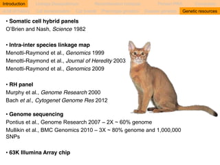Introduction Linkage Disequilibrium Recombination hotspots Persian PRA Conclusion 
A bit of history Cat domestication Cat breeds Phenotype genetics Disease genetics Genetic resources 
• Somatic cell hybrid panels 
O’Brien and Nash, Science 1982 
• Intra-inter species linkage map 
Menotti-Raymond et al., Genomics 1999 
Menotti-Raymond et al., Journal of Heredity 2003 
Menotti-Raymond et al., Genomics 2009 
• RH panel 
Murphy et al., Genome Research 2000 
Bach et al., Cytogenet Genome Res 2012 
• Genome sequencing 
Pontius et al., Genome Research 2007 – 2X ~ 60% genome 
Mullikin et al., BMC Genomics 2010 – 3X ~ 80% genome and 1,000,000 
SNPs 
• 63K Illumina Array chip 
 