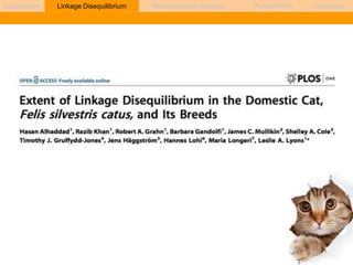 Introduction Linkage Disequilibrium Recombination hotspots Persian PRA Conclusion 
 