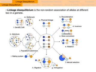 Introduction Linkage Disequilibrium Recombination hotspots Persian PRA Conclusion 
Linkage Disequilibrium Markers Samples LD in cats Haplotypes Cat LD & GWAS LD in mammals 
• Linkage disequilibrium is the non-random association of alleles at different 
loci in a gamete. 
 