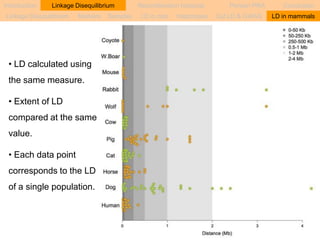 Introduction Linkage Disequilibrium Recombination hotspots Persian PRA Conclusion 
Linkage Disequilibrium Markers Samples LD in cats Haplotypes Cat LD & GWAS LD in mammals 
• LD calculated using 
the same measure. 
• Extent of LD 
compared at the same 
value. 
• Each data point 
corresponds to the LD 
of a single population. 
 