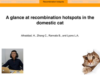 Introduction Linkage Disequilibrium Recombination hotspots Persian PRA Conclusion 
A glance at recombination hotspots in the 
domestic cat 
Alhaddad, H., Zhang C., Rannala B., and Lyons L.A. 
 