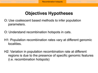 Introduction Linkage Disequilibrium Recombination hotspots Persian PRA Conclusion 
Objectives Hypotheses 
O: Use coalescent based methods to infer population 
parameters. 
O: Understand recombination hotspots in cats. 
H1: Population recombination rates vary at different genomic 
localities. 
H2: Variation in population recombination rate at different 
regions is due to the presence of specific genomic features 
(i.e. recombination hotspots) 
 
