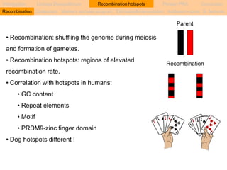 Introduction Linkage Disequilibrium Recombination hotspots Persian PRA Conclusion 
Recombination Coalescent Markers samples program Estimates&interpretation Hot&warm-spots G. features 
Parent 
Recombination 
• Recombination: shuffling the genome during meiosis 
and formation of gametes. 
• Recombination hotspots: regions of elevated 
recombination rate. 
• Correlation with hotspots in humans: 
• GC content 
• Repeat elements 
• Motif 
• PRDM9-zinc finger domain 
• Dog hotspots different ! 
 